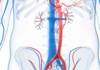 Ecocolordoppler dell'aorta addominale